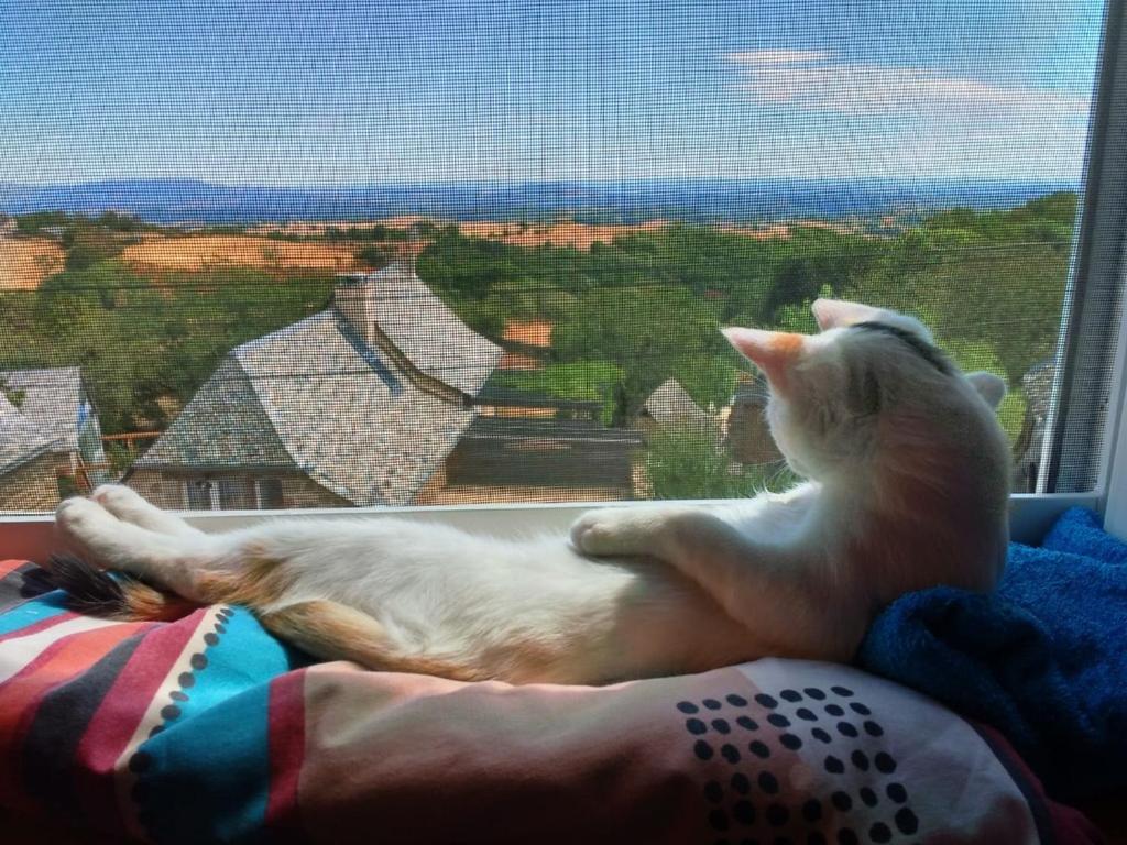 Lo Soulenquo A Fonteilles Sur Le Gr 65 Bed & Breakfast Golinhac ภายนอก รูปภาพ